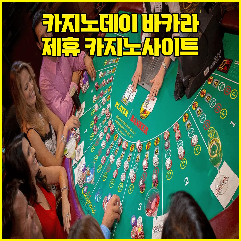 바카라사이트 추천